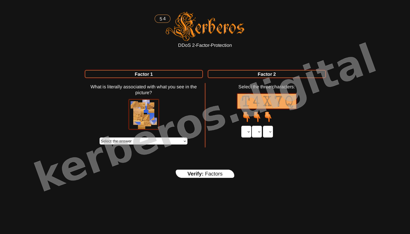 DDoS Protection Screen