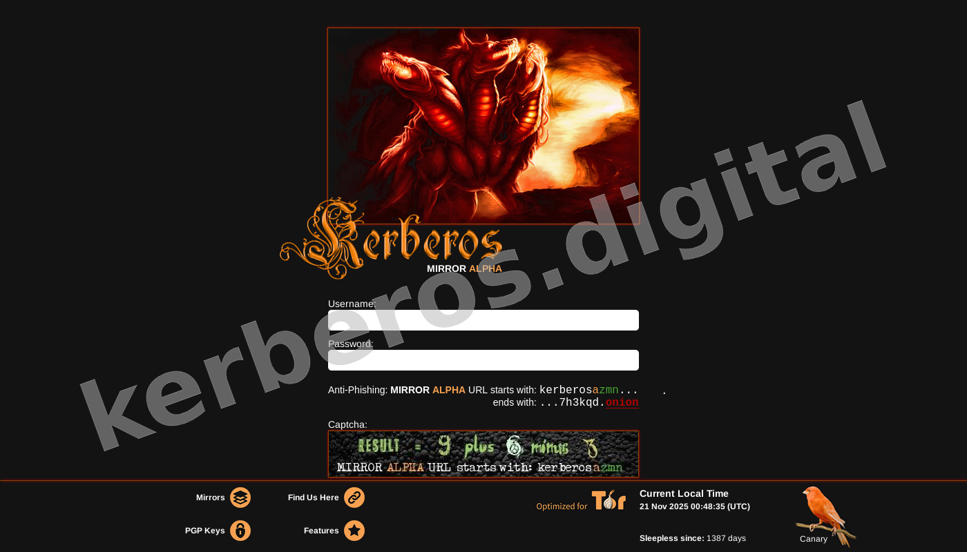 User Login Interface